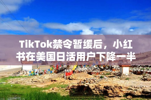 TikTok禁令暂缓后，小红书在美国日活用户下降一半