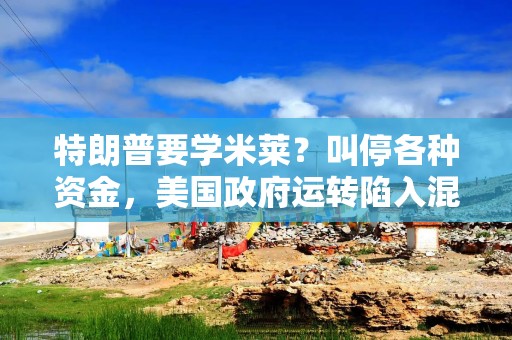 特朗普要学米莱？叫停各种资金，美国政府运转陷入混乱