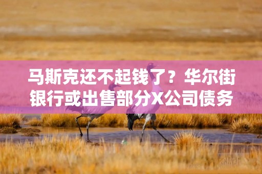 马斯克还不起钱了？华尔街银行或出售部分X公司债务