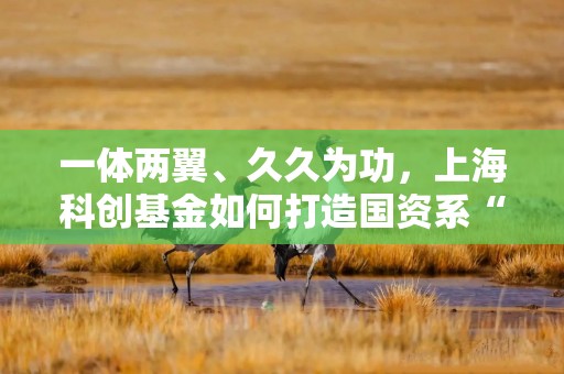 一体两翼、久久为功，上海科创基金如何打造国资系“长期资本”的经典范例｜投资人说