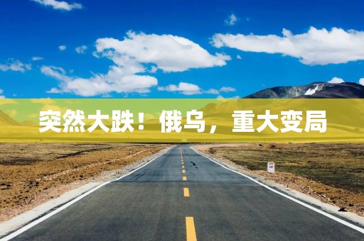 突然大跌！俄乌，重大变局