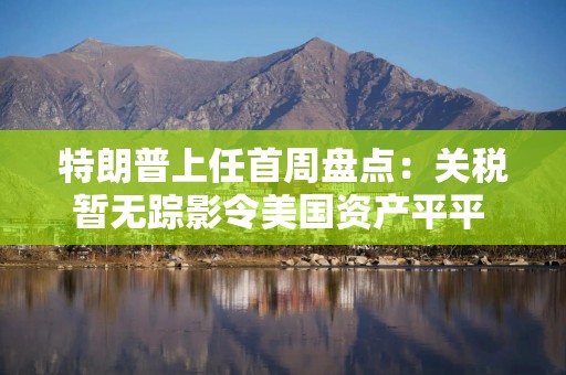 特朗普上任首周盘点：关税暂无踪影令美国资产平平 非美资产意外亮眼