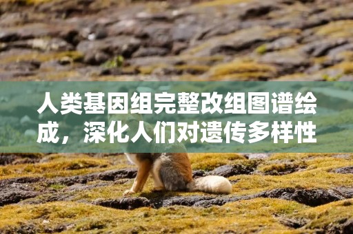 人类基因组完整改组图谱绘成，深化人们对遗传多样性的理解