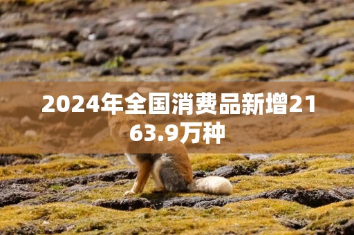 2024年全国消费品新增2163.9万种