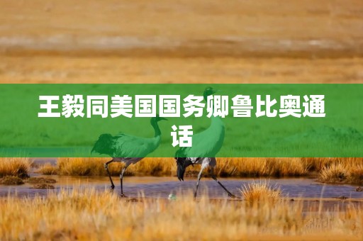 王毅同美国国务卿鲁比奥通话