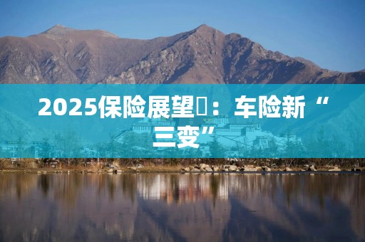 2025保险展望➂：车险新“三变”