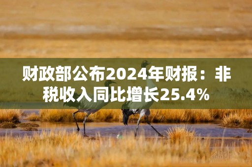 财政部公布2024年财报：非税收入同比增长25.4%