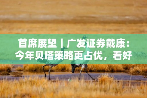 首席展望｜广发证券戴康：今年贝塔策略更占优，看好科技产业及黄金