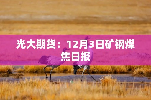光大期货：12月3日矿钢煤焦日报