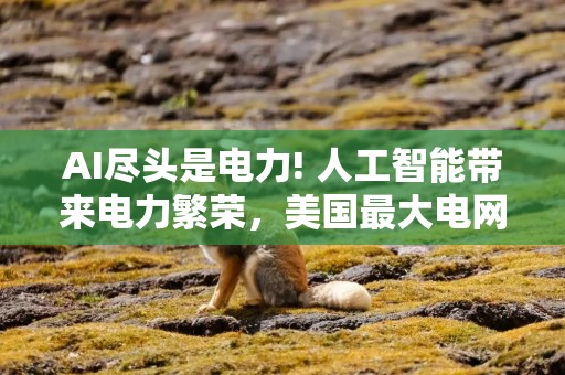AI尽头是电力! 人工智能带来电力繁荣，美国最大电网需求有望大增38%