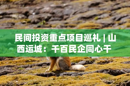 民间投资重点项目巡礼 | 山西运城：千百民企同心干 万类霜天竞风流