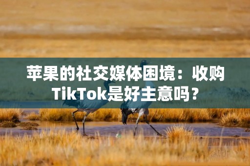 苹果的社交媒体困境：收购TikTok是好主意吗？