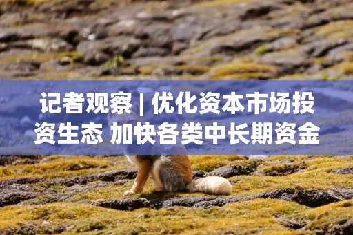 记者观察 | 优化资本市场投资生态 加快各类中长期资金入市步伐