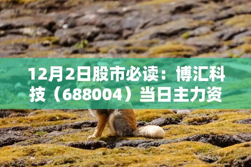 12月2日股市必读：博汇科技（688004）当日主力资金净流入3.53万元，占总成交额0.11%