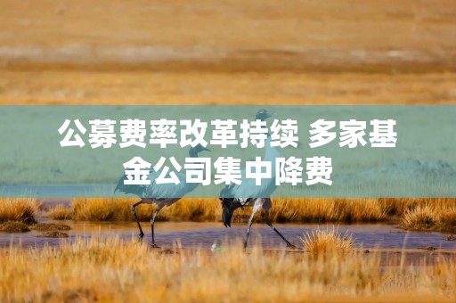 公募费率改革持续 多家基金公司集中降费