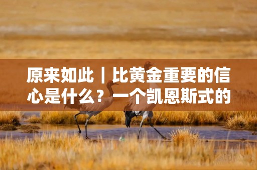 原来如此｜比黄金重要的信心是什么？一个凯恩斯式的解读