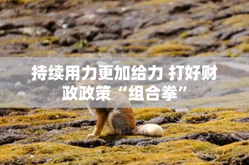 持续用力更加给力 打好财政政策“组合拳”