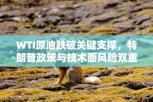 WTI原油跌破关键支撑，特朗普政策与技术面风险双重考验！油价能否反弹？