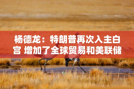 杨德龙：特朗普再次入主白宫 增加了全球贸易和美联储降息的不确定性