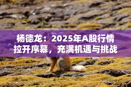 杨德龙：2025年A股行情拉开序幕，充满机遇与挑战！预计政策面将继续加码，推动资本市场走出第二波、第三波上涨行情