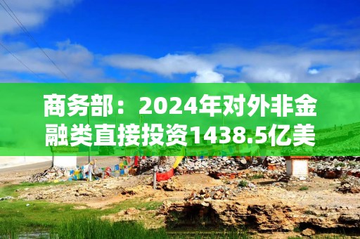 商务部：2024年对外非金融类直接投资1438.5亿美元 较上年增长10.5%