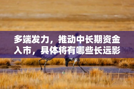 多端发力，推动中长期资金入市，具体将有哪些长远影响？