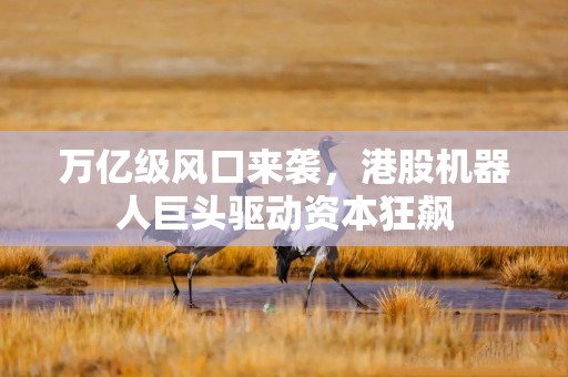 万亿级风口来袭，港股机器人巨头驱动资本狂飙