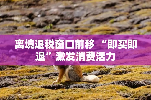 离境退税窗口前移 “即买即退”激发消费活力