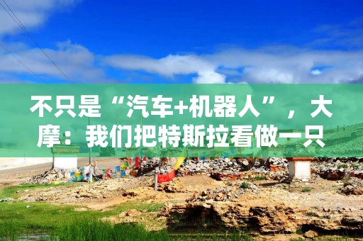 不只是“汽车+机器人”，大摩：我们把特斯拉看做一只“AI ETF”