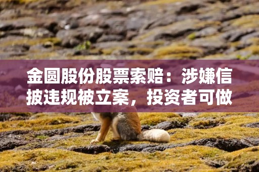 金圆股份股票索赔：涉嫌信披违规被立案，投资者可做索赔准备