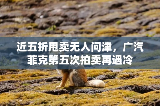 近五折甩卖无人问津，广汽菲克第五次拍卖再遇冷