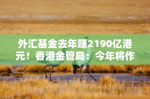 外汇基金去年赚2190亿港元！香港金管局：今年将作出适当的防御性部署
