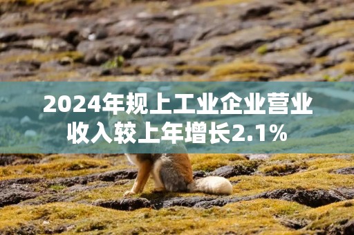 2024年规上工业企业营业收入较上年增长2.1%