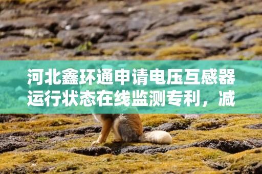 河北鑫环通申请电压互感器运行状态在线监测专利，减少误报和漏报提高检测准确性