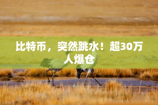 比特币，突然跳水！超30万人爆仓