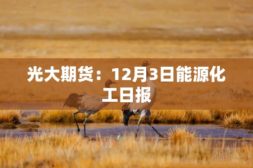 光大期货：12月3日能源化工日报
