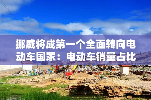 挪威将成第一个全面转向电动车国家：电动车销量占比88.9%