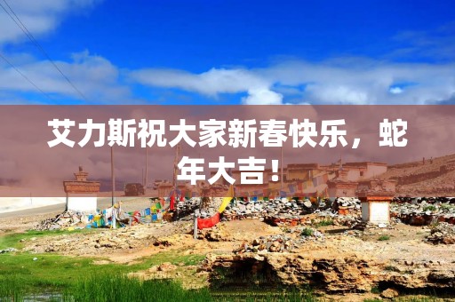 艾力斯祝大家新春快乐，蛇年大吉！