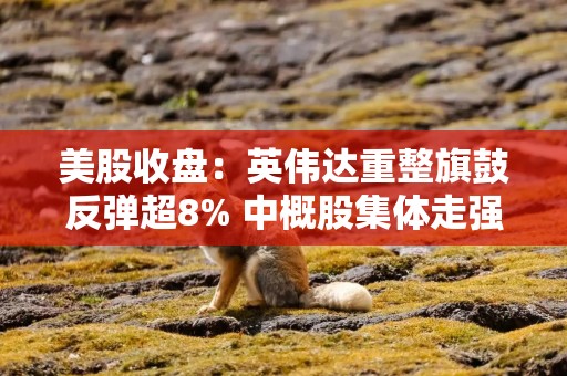 美股收盘：英伟达重整旗鼓反弹超8% 中概股集体走强喜迎新年