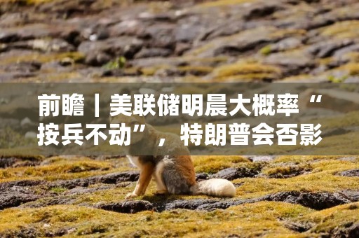 前瞻｜美联储明晨大概率“按兵不动”，特朗普会否影响全年降息节奏？