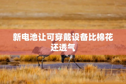 新电池让可穿戴设备比棉花还透气