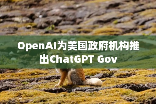 OpenAI为美国政府机构推出ChatGPT Gov