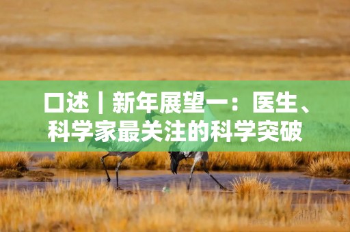 口述｜新年展望一：医生、科学家最关注的科学突破
