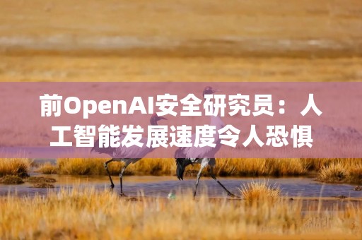 前OpenAI安全研究员：人工智能发展速度令人恐惧