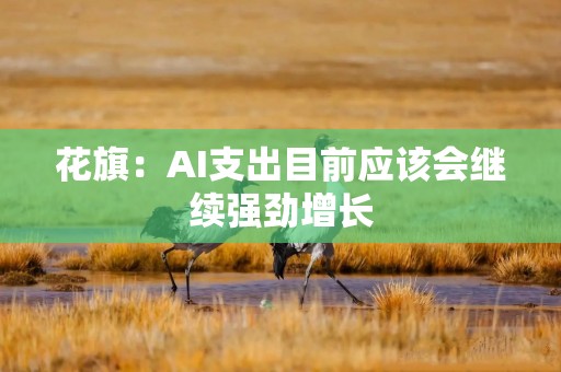 花旗：AI支出目前应该会继续强劲增长