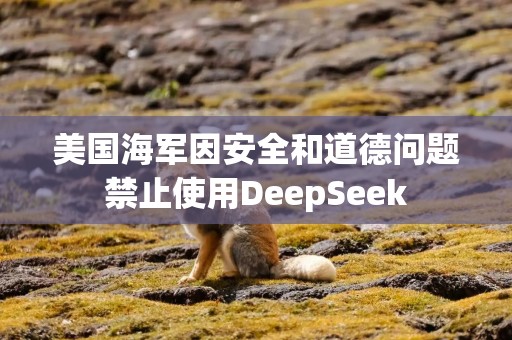 美国海军因安全和道德问题禁止使用DeepSeek