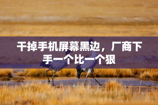 干掉手机屏幕黑边，厂商下手一个比一个狠