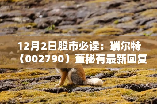 12月2日股市必读：瑞尔特（002790）董秘有最新回复