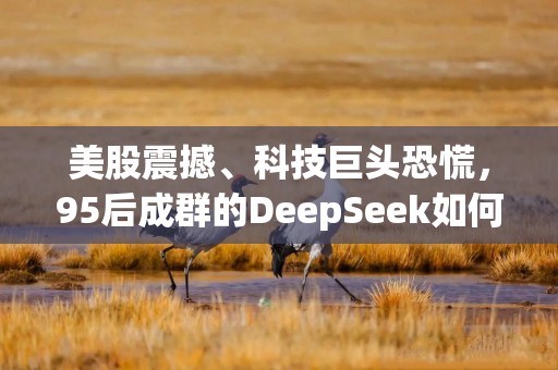 美股震撼、科技巨头恐慌，95后成群的DeepSeek如何就一夜“破圈”？