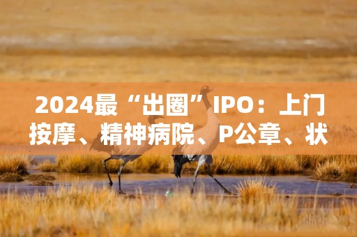 2024最“出圈”IPO：上门按摩、精神病院、P公章、状告交易所……